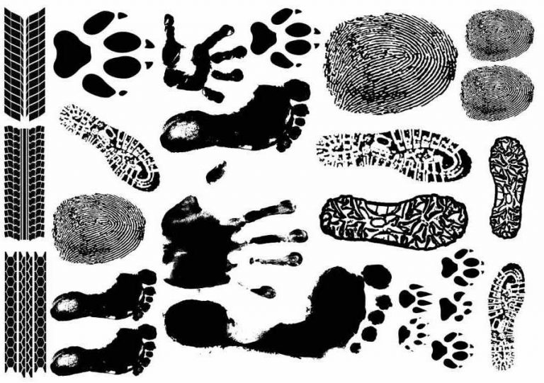 Diseños de tatuajes huellas de pies, pata y huellas dactilares.