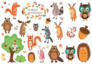 Animales del Bosque, animales finamente ilustrados como tatuajes temporales.